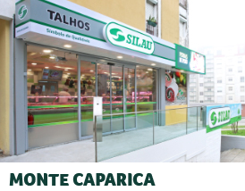 Monte Caparica